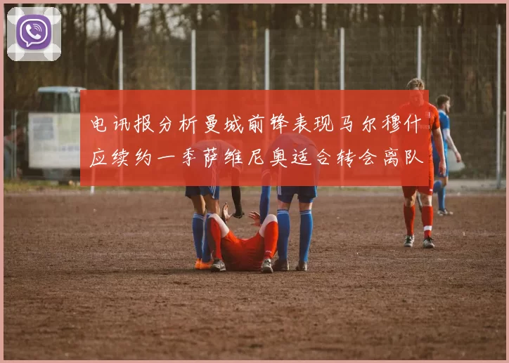 电讯报分析曼城前锋表现马尔穆什应续约一季萨维尼奥适合转会离队